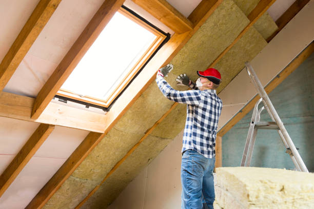 Professional Insulation Services in Sauk Village, IL